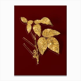 Vintage Eastern Poison Ivy Botanical in Gold on Red n.0323 Canvas Print