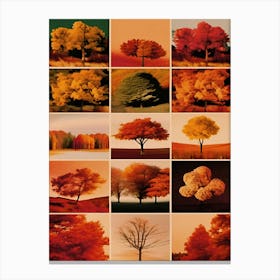 Fall Trees, Grainy, Collage, Autumn Collection Canvas Print