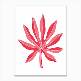 Red Maple Leaf Canvas Print