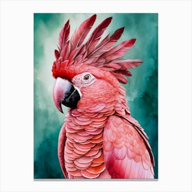 Pink Parrot 1 Canvas Print