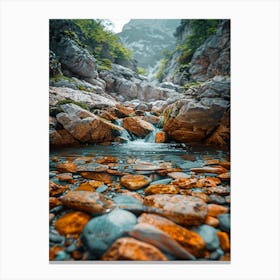 Rocky Stream In The Mountains Canvas Print