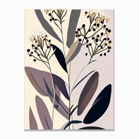 Prairie Milkweed Wildflower Modern Muted Colours 2 Canvas Print