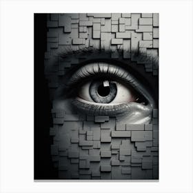 Eye Of A Woman Canvas Print