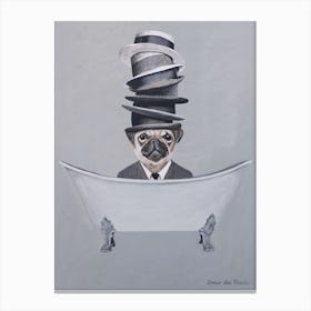 Pug With Stacked Hats In Bathtub Canvas Print
