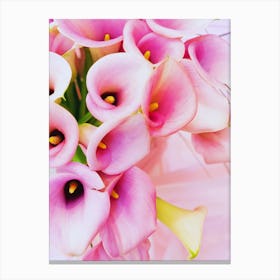 Calla Lily Canvas Print