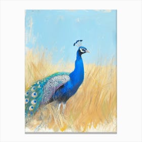 Peacock Walking Through The Grass 2 Canvas Print