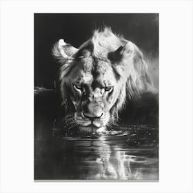 African Lion Charcoal Drawing Drinking From A Watering Hole 3 Canvas Print