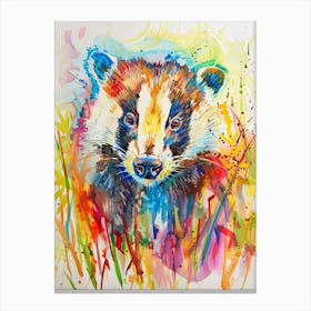 Badger Colourful Watercolour 3 Canvas Print
