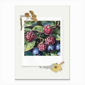 Scrapbook Blueberries Fairycore Painting 4 Canvas Print