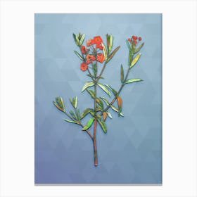 Vintage Bog Laurel Bloom Botanical Art on Summer Song Blue n.2046 Canvas Print
