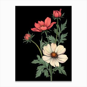 Cosmos Flower 2 Canvas Print