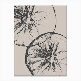 Pomegranate 2 Canvas Print