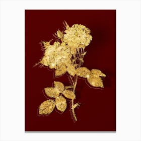 Vintage White Damask Rose Botanical in Gold on Red n.0377 Canvas Print