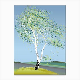 Birch Tree Canvas Print