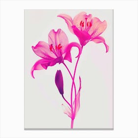 Hot Pink Lily 2 Canvas Print