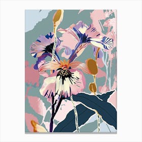 Colourful Flower Illustration Cineraria 6 Canvas Print