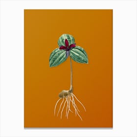Vintage Tri Flower Botanical on Sunset Orange n.0627 Canvas Print