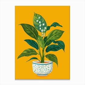 Lily Of The Valley 1 Canvas Print