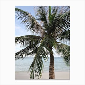 Cambodia Palm Tree Beach Canvas Print