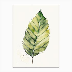 Saguaro Leaf Minimalist Watercolour Canvas Print