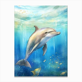 Short Beaked Common Dolphin  4 Canvas Print