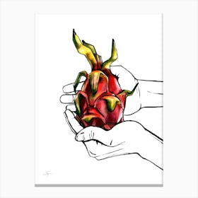 Watercolor and Ink Exotic Fruit illustration Holding in Hands Tropical Dragon Fruit Pitahaya Canvas Print