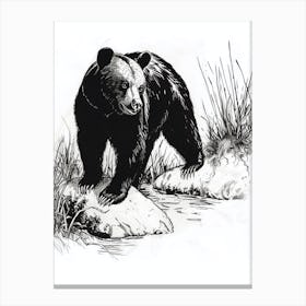 Malayan Sun Bear Standing On A Riverbank Ink Illustration 4 Canvas Print