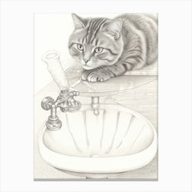 Cat In Sink Canvas Print