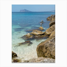 Clear sea water, rocks and seagulls on the beach Canvas Print