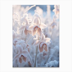 Frosty Botanical Monkey Orchid Canvas Print