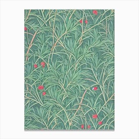 Japanese Red Pine 2 tree Vintage Botanical Canvas Print