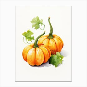 Miniature Pumpkin Watercolour Illustration 1 Canvas Print
