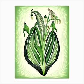 Adder's Tongue Fern Wildflower Vintage Botanical Canvas Print