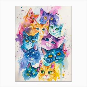 Colorful Cats 4 Canvas Print