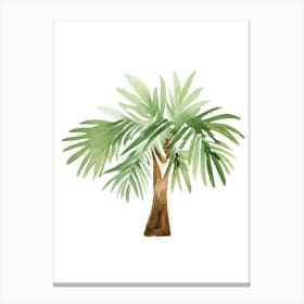 Palm Tree Canvas Print