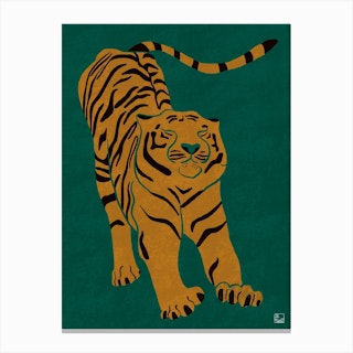 Tiger Doesnt Lose Sleep Canvas Print