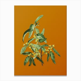 Vintage Russian Olive Botanical on Sunset Orange Canvas Print