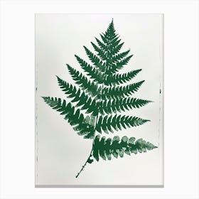 Green Ink Painting Of A Royal Fern 2 Canvas Print