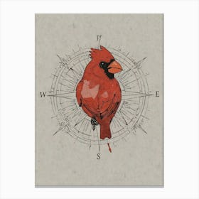 Cardinal Bird On Compass Canvas Print