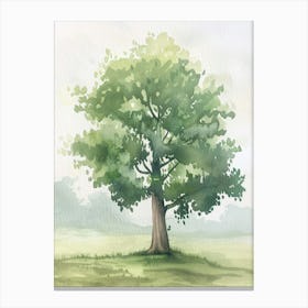 Linden Tree Atmospheric Watercolour Painting 2 Canvas Print