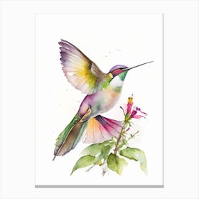 Buff Bellied Hummingbird Cute Neon 2 Canvas Print