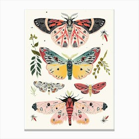 Colourful Insect Illustration Butterfly 4 Canvas Print