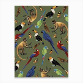 Birds Of Brazil Canvas Print