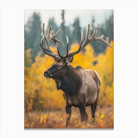 Elk In Autumn Canvas Print