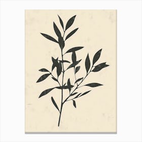 Branch Of Olives Canvas Print