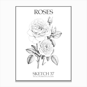 Roses Sketch 37 Poster Canvas Print