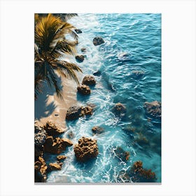 Tropical Beach With Palm Trees Canvas Print