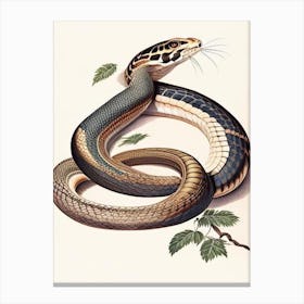 Egyptian Cobra Snake 1 Vintage Canvas Print