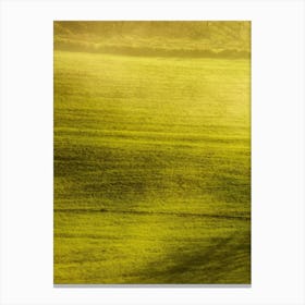 Mist In The Field Canvas Print