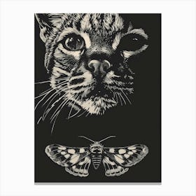 Moth And Cat Canvas Print